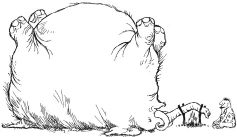 BJames Paleolunch crop