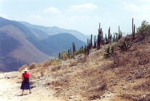 In the Sierra of Oaxaca, Mexico