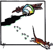 Nondany's Mouse, Betsy James