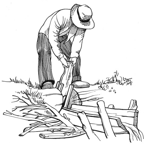 BJames Irrigation crop