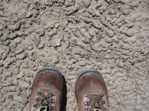 Boots Cuba Wormy Mud*