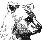 BJames StandingBear crop