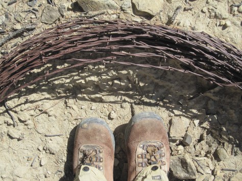 Boots Cebolla barbwire