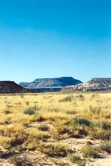 In the Ojito Wilderness, New Mexico