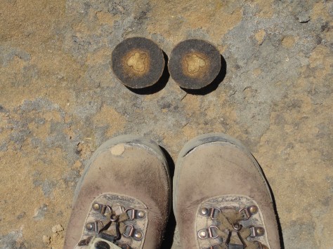 Boots Cuba bflyconcr